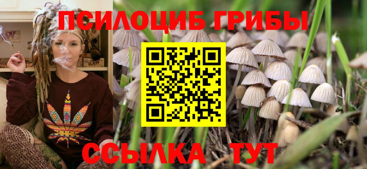 Галлюциногенные грибы MAGIC MUSHROOMS  как найти закладки  Шебекино  Вход с VPN 