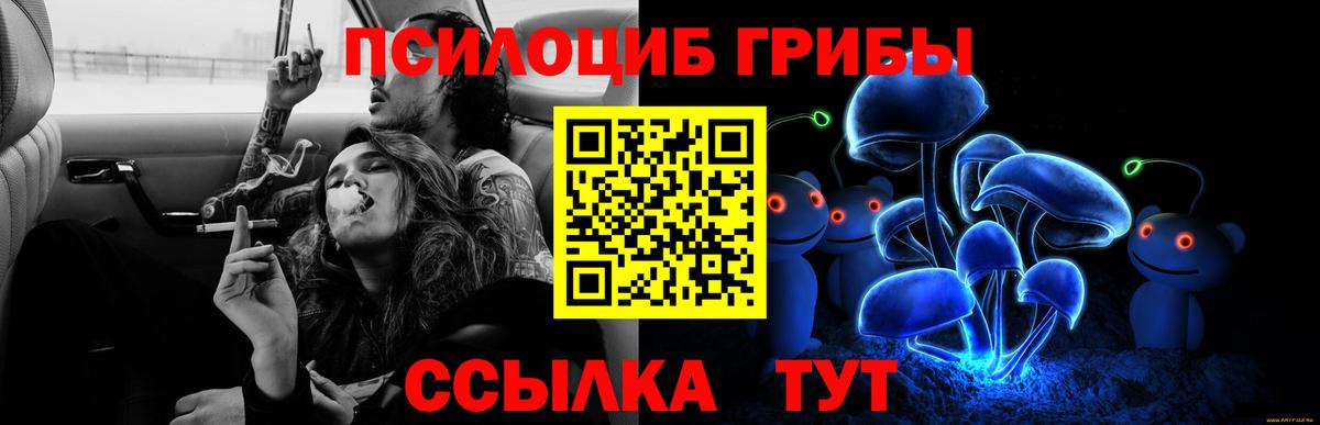 Галлюциногенные грибы ЛСД Шебекино